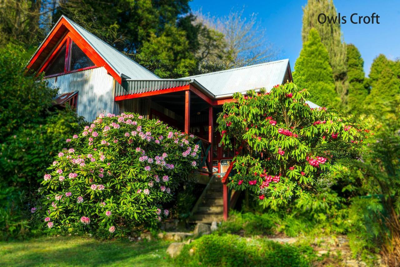 观景住宿加早餐旅馆 丹德农山 外观 照片